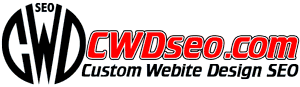 Custom Website Design SEO SERVICES