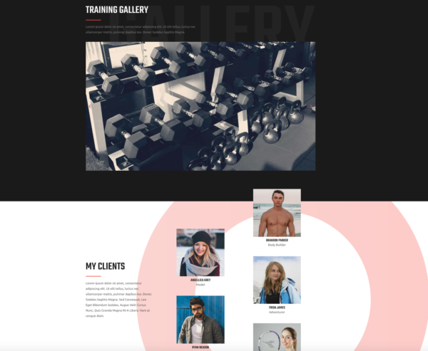 #1 Turbo-Charge Personal Fitness Trainer Business Theme