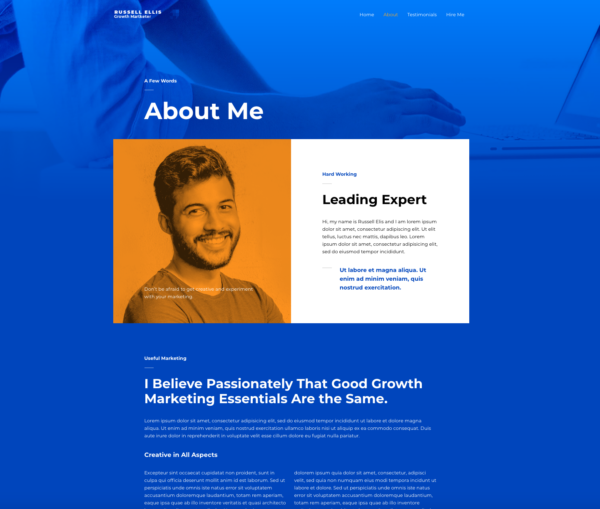#1 Focused Growth Marketer Business Theme