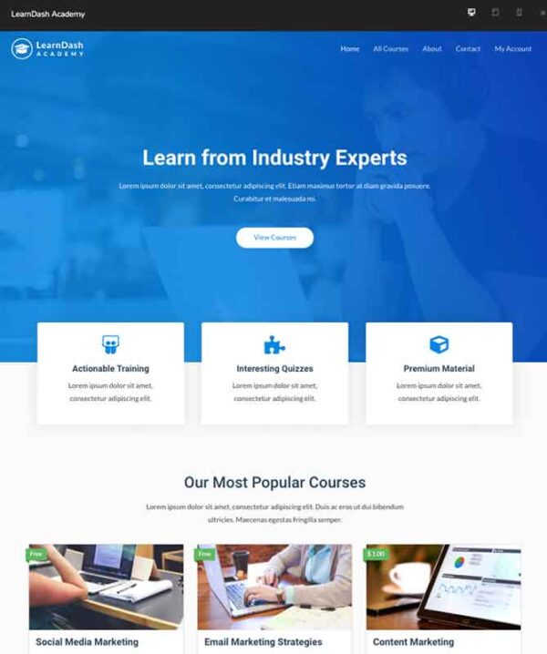 #1 LearnDash Academy Certified Experts Business Theme