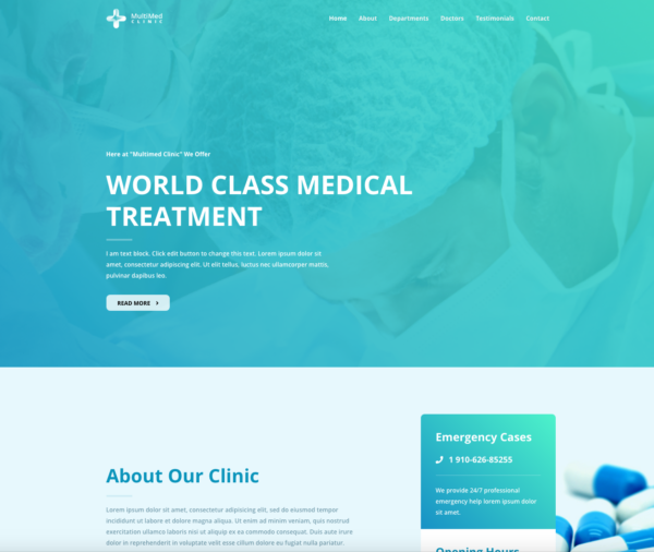 #1 Pioneering Multimed Clinic Business Theme