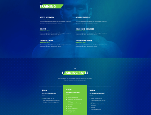 #1 In the Zone Fitness Trainer Business Theme