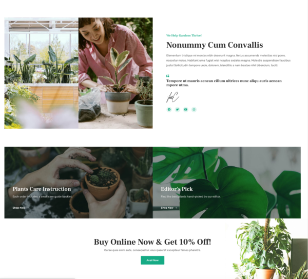 #1 Organic Adaptable Plant Shop eCommerce Theme